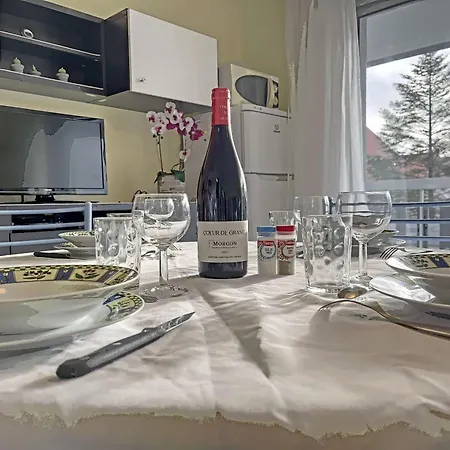 Apartmán Avec Balcon, Proche Et Commerces - Fr-1-646-37